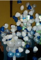 Gender Reveal Organic Pom Pom