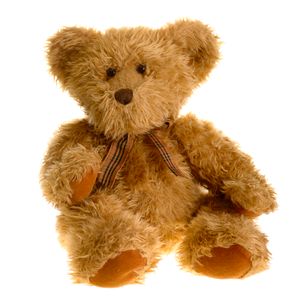 Stuffed Animal
